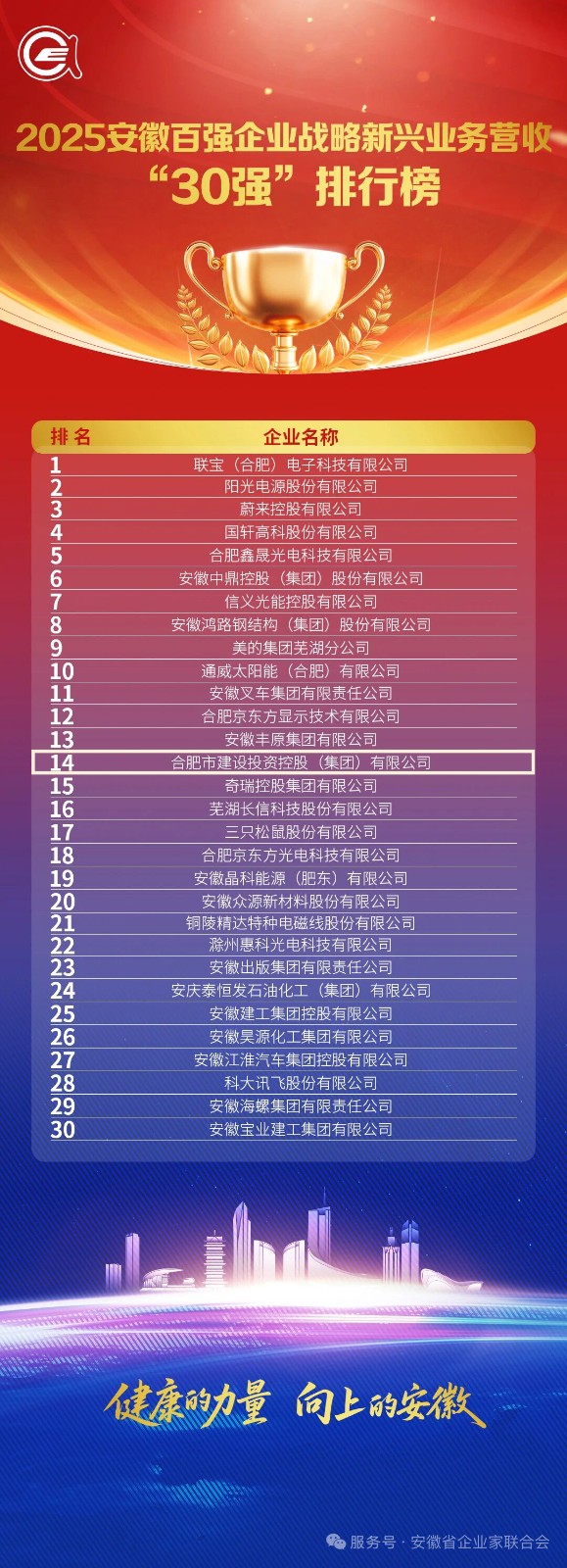 3.2025安徽百強企業戰略新興業務營收30強
